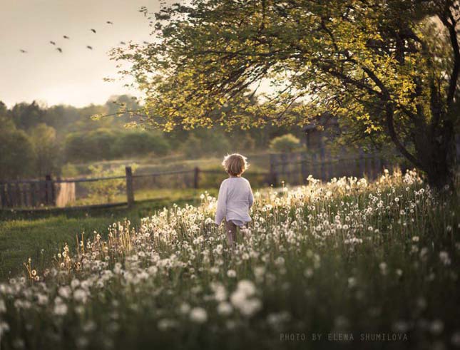 Elena Shumilova