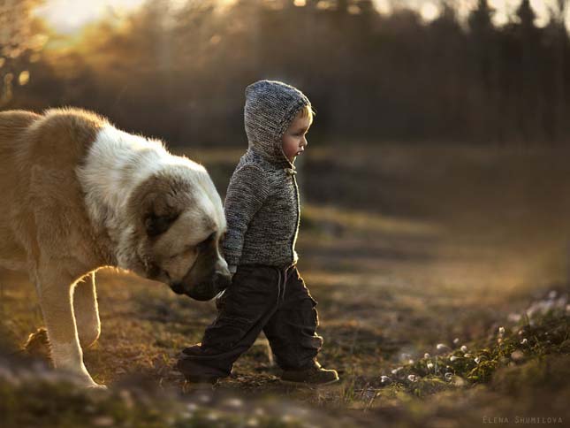 Elena Shumilova