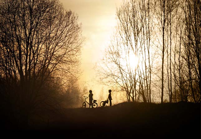 Elena Shumilova