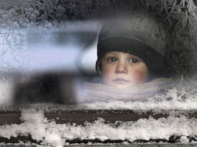 Elena Shumilova