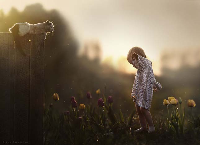 Elena Shumilova