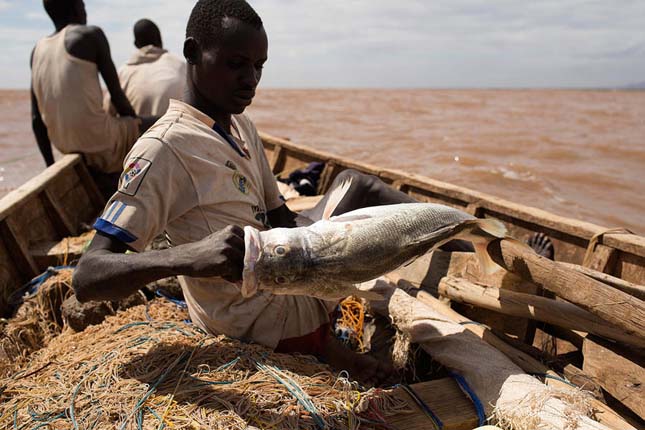 Turkana törzs