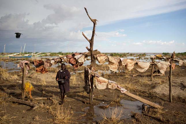 Turkana törzs