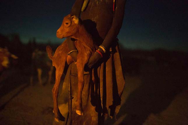 Turkana törzs