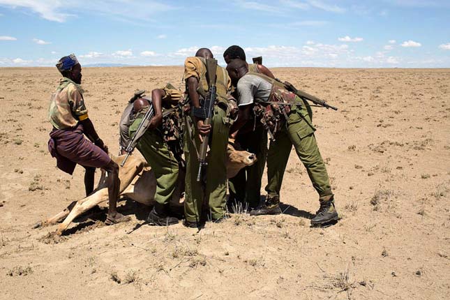 Turkana törzs