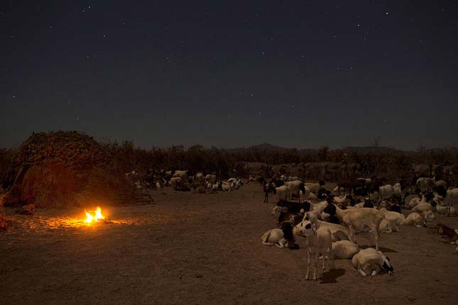 Turkana törzs