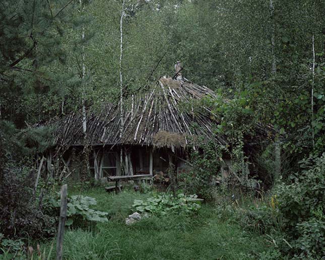 Élet a vadonban