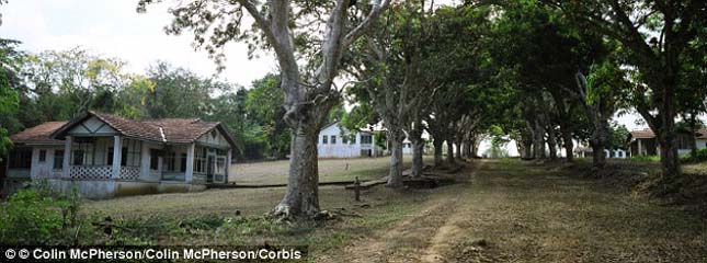 Fordlandia