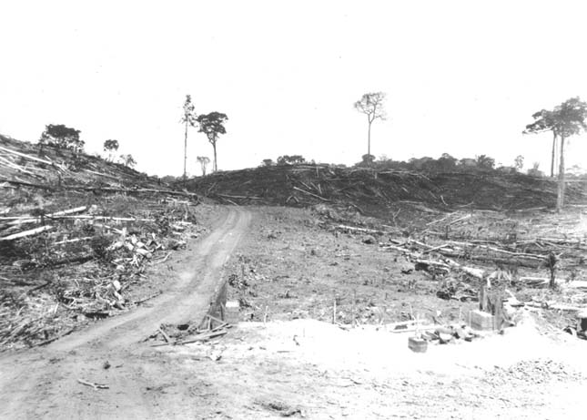 Fordlandia