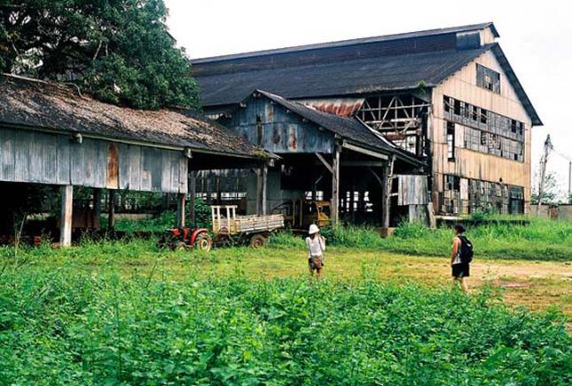 Fordlandia