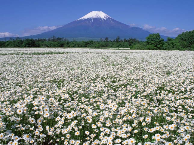 Fuji, Japán