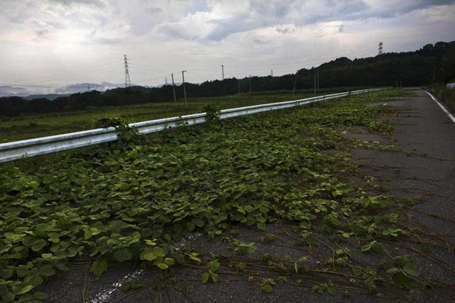 Fukushima