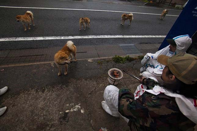 Fukushima