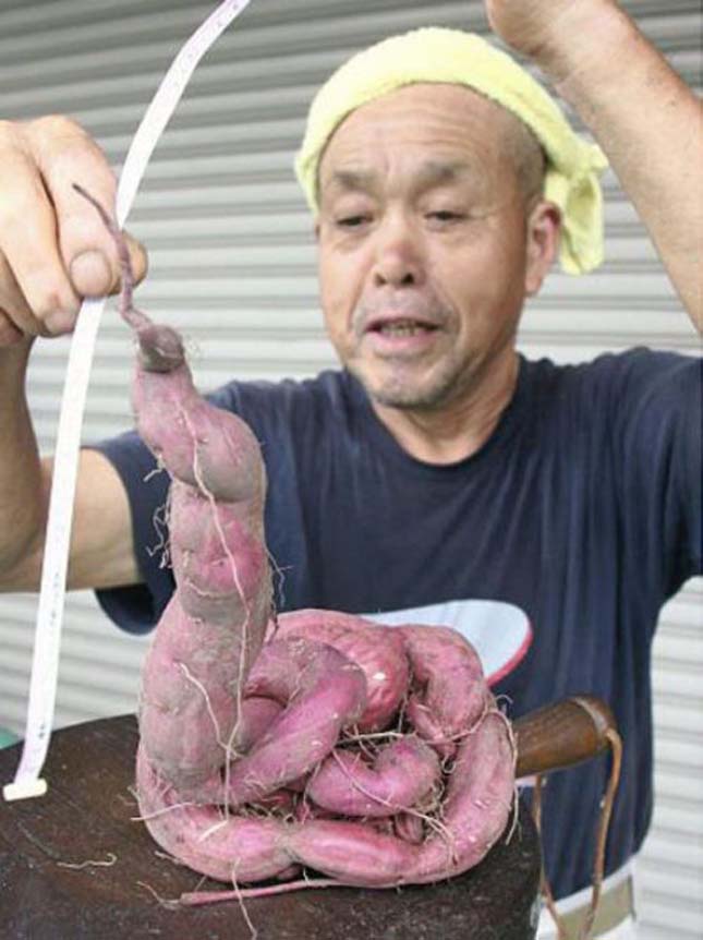 Fukusimai zöldségek és gyümölcsök