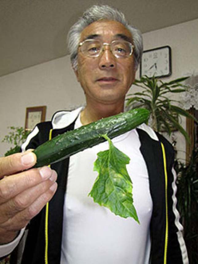 Fukusimai zöldségek és gyümölcsök