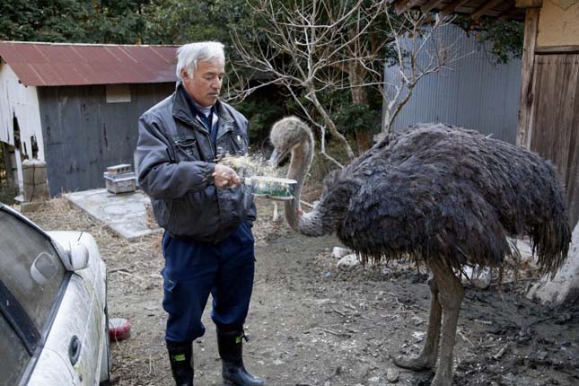 Naoto Matsumura