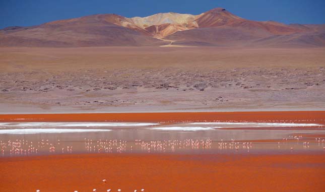 Laguna Colorada