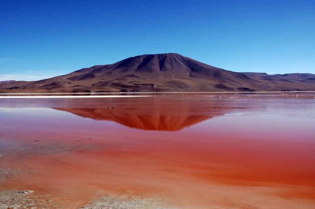 Laguna Colorada