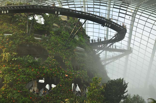 Gardens by the Bay, Szingapúr