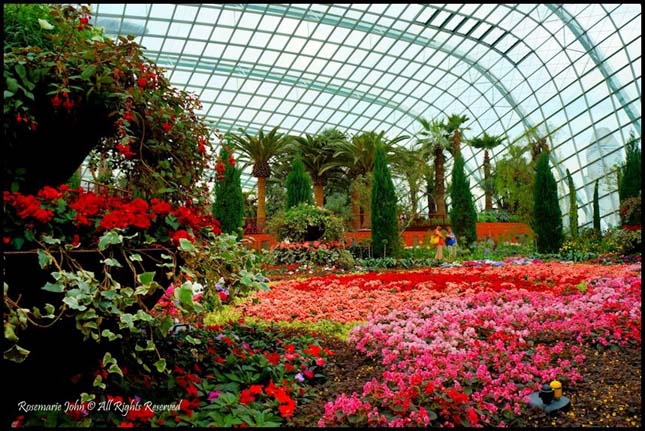 Gardens by the Bay, Szingapúr