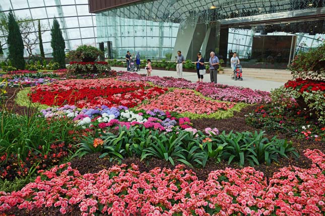 Gardens by the Bay, Szingapúr