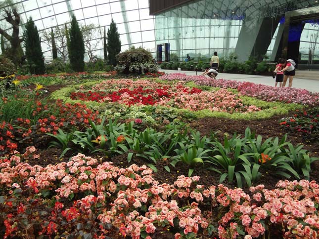 Gardens by the Bay, Szingapúr