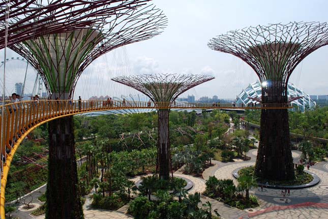 Gardens by the Bay, Szingapúr