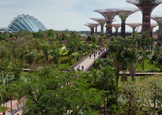 Gardens by the Bay, Szingapúr