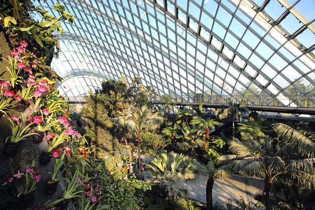 Gardens by the Bay, Szingapúr