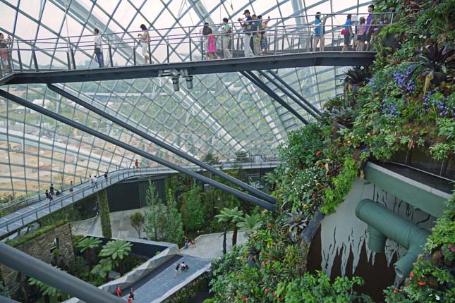 Gardens by the Bay, Szingapúr