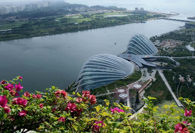 Gardens by the Bay, Szingapúr