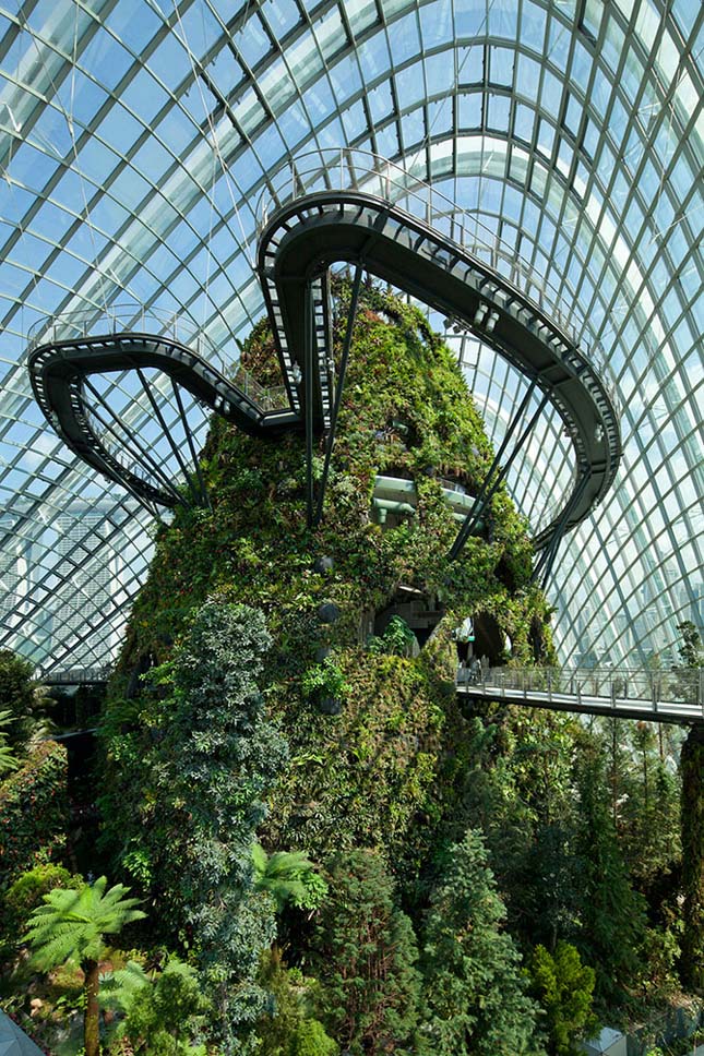 Gardens by the Bay, Szingapúr