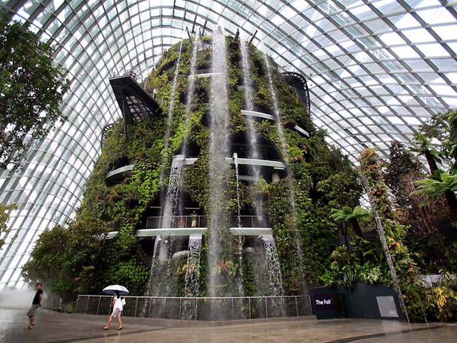 Gardens by the Bay, Szingapúr