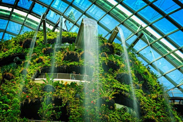 Gardens by the Bay, Szingapúr