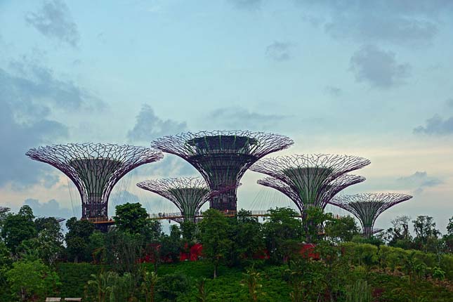 Gardens by the Bay, Szingapúr