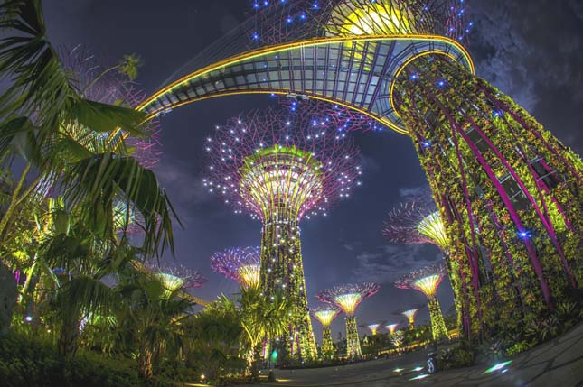 Gardens by the Bay, Szingapúr