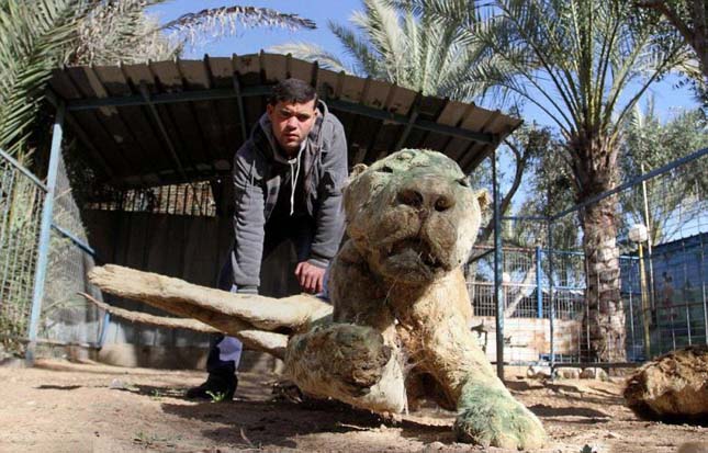 Khan Younis állatkert, Gázia övezet