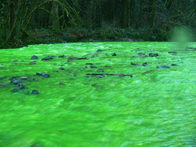 Neonzöld színű Goldstream folyó