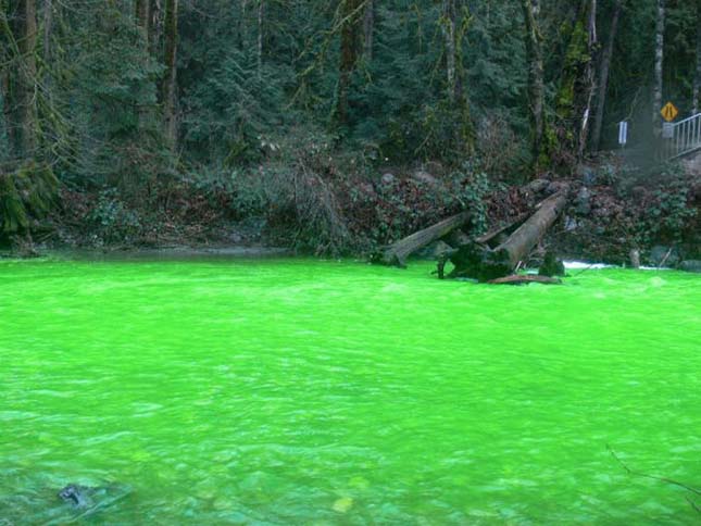 Neonzöld színű Goldstream folyó