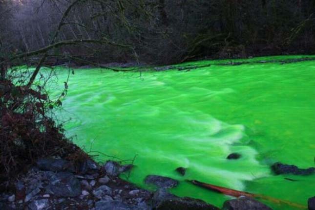 Neonzöld színű Goldstream folyó