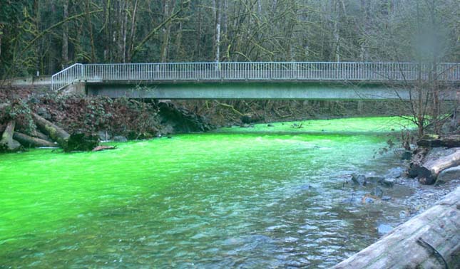 Neonzöld színű Goldstream folyó