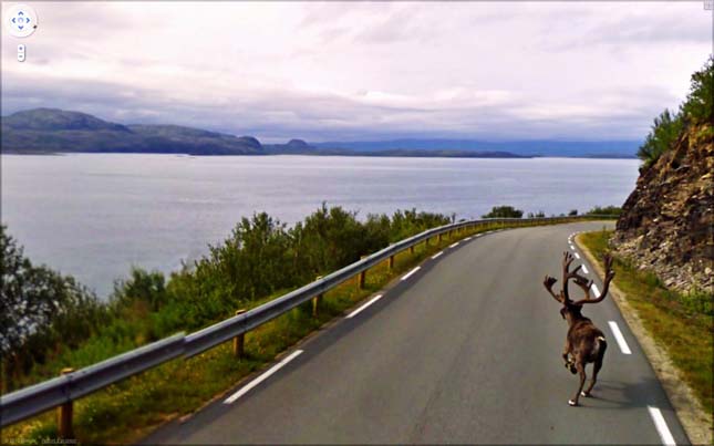 Google Streetview érdekes jelenetei