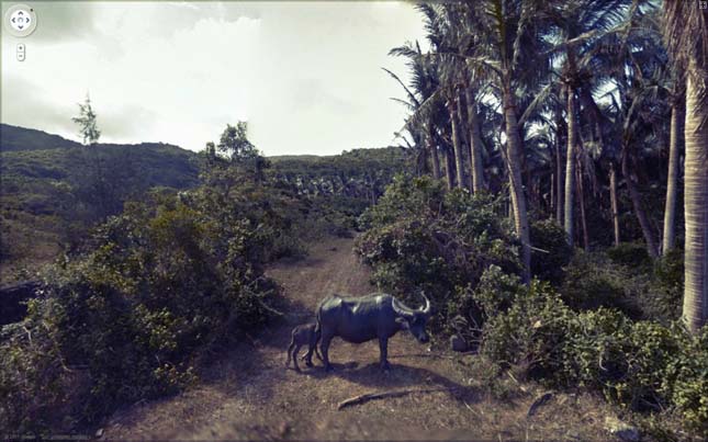 Google Streetview érdekes jelenetei