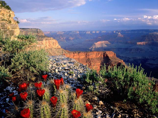 Grand Canyon