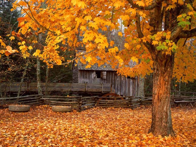 great Smoky Mountains Nemzeti Park