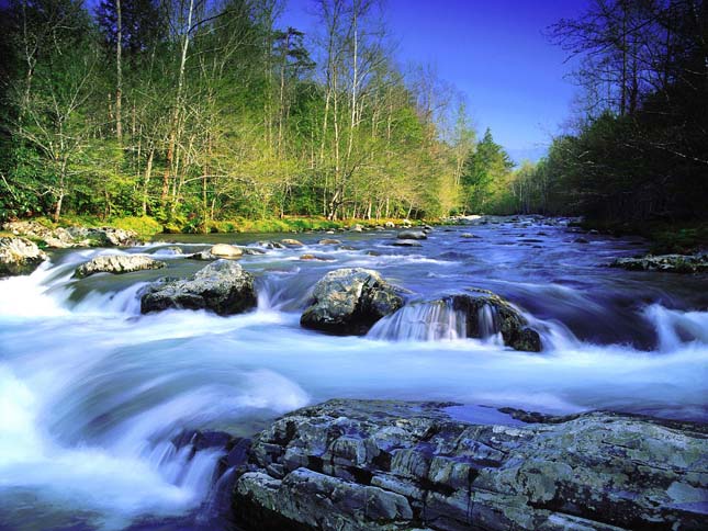 great Smoky Mountains Nemzeti Park