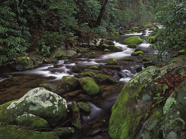 great Smoky Mountains Nemzeti Park