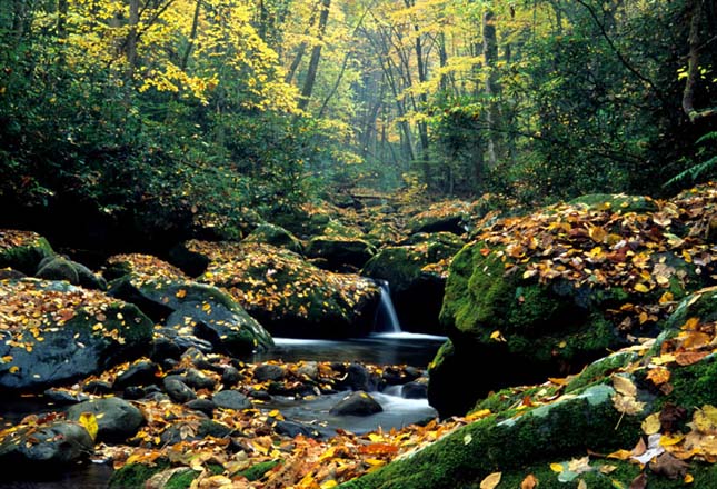 great Smoky Mountains Nemzeti Park