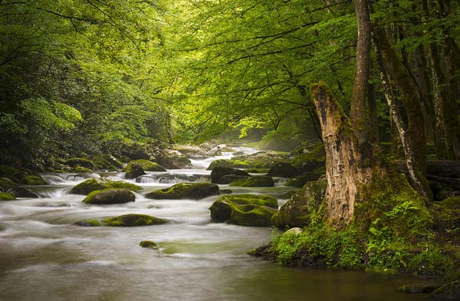 great Smoky Mountains Nemzeti Park