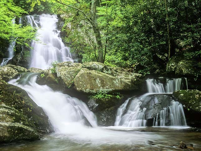 great Smoky Mountains Nemzeti Park